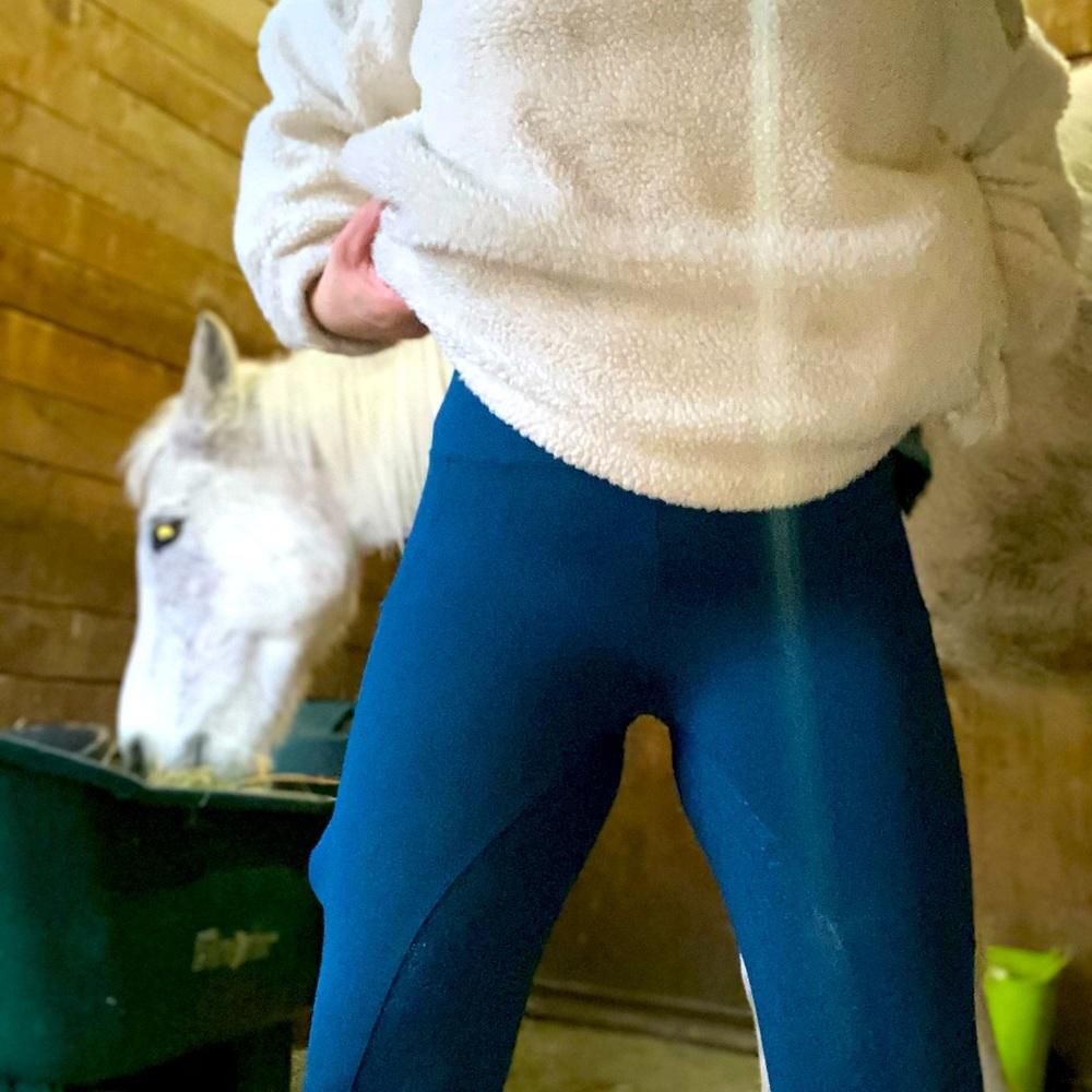 Equine breeches